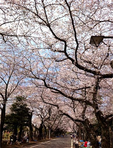 f:id:bobi-wan:20120406133158j:image:w300