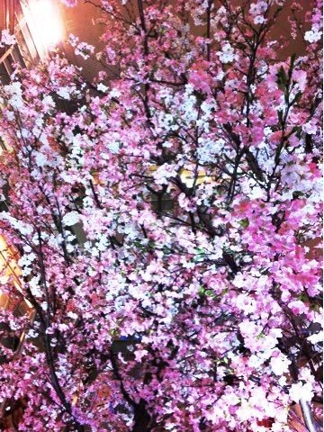 f:id:bobi-wan:20120407220724j:image:w300