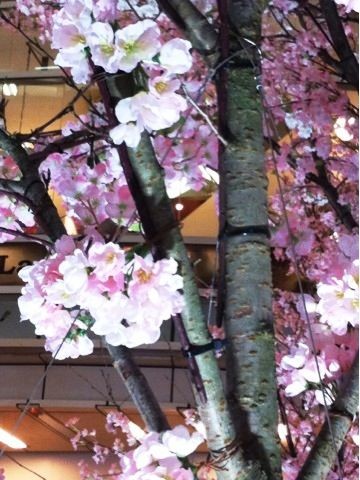 f:id:bobi-wan:20120407220848j:image:w300