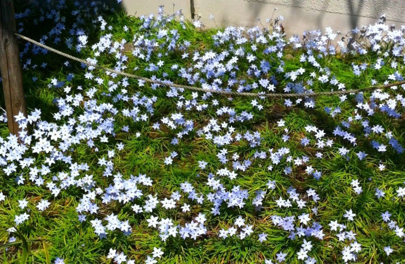 f:id:bobi-wan:20120408203902j:image:w300