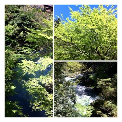 f:id:bobi-wan:20120428004911j:image:w300 f:id:bobi-wan:20120428004911j:image:w300