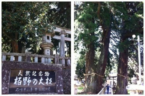 f:id:bobi-wan:20120428005112j:image:w300 f:id:bobi-wan:20120428005112j:image:w300