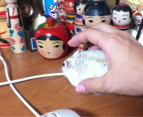 f:id:bobi-wan:20120519003518j:image:w250