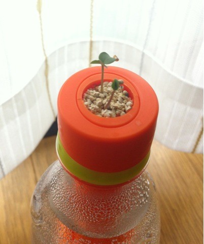 f:id:bobi-wan:20120603012733j:image:w300