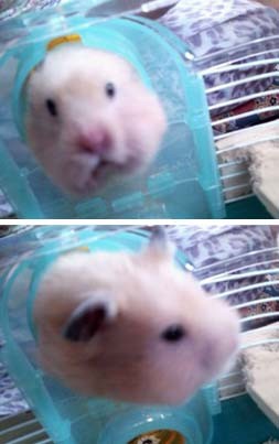 f:id:bobi-wan:20120608233446j:image:w300