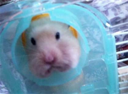 f:id:bobi-wan:20120608233447j:image:w300
