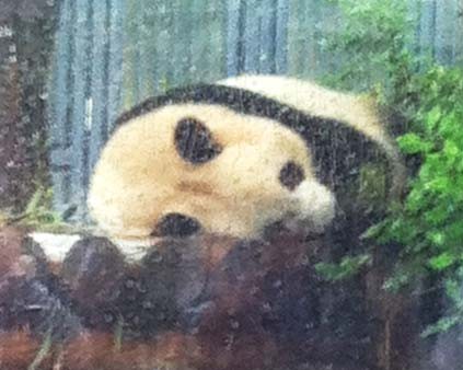 f:id:bobi-wan:20120610023440j:image:w250