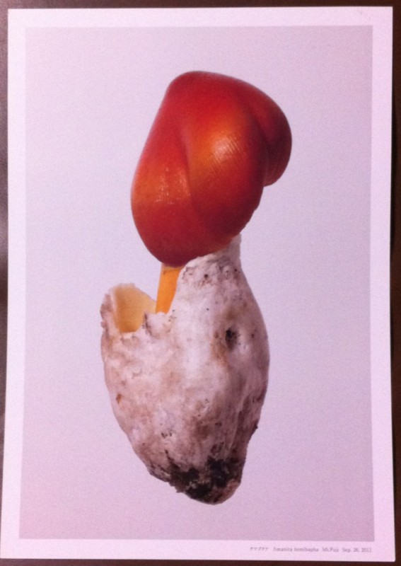 f:id:bobi-wan:20120724214238j:image:w300