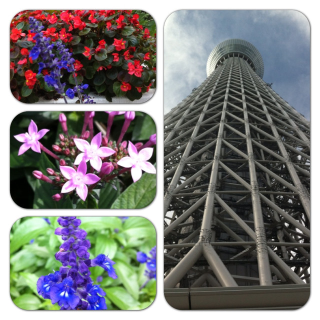 f:id:bobi-wan:20121010232841j:image:w300