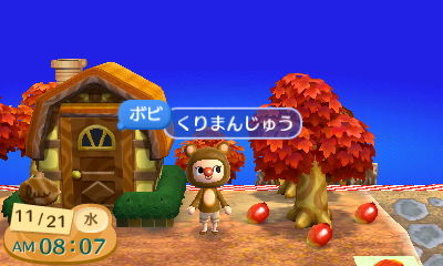 f:id:bobi-wan:20121121235123j:image:w320