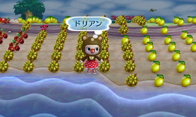 f:id:bobi-wan:20121130004049j:image:w300
