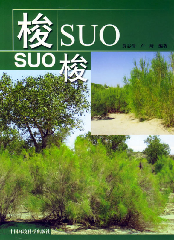f:id:bobi-wan:20121218121457j:image:w200