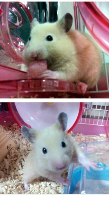 f:id:bobi-wan:20130201004446j:image:w300
