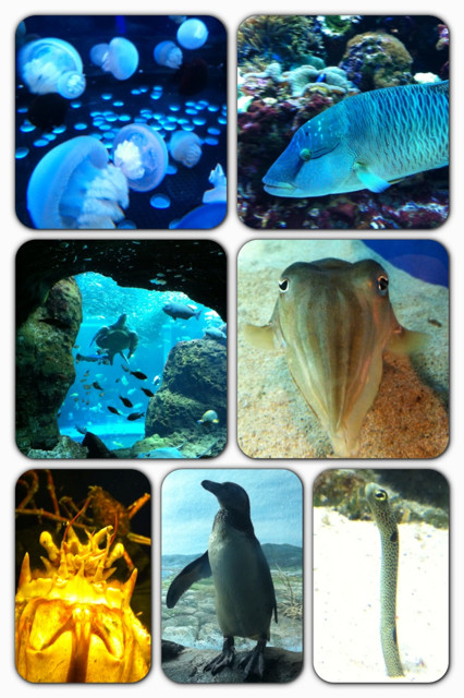 f:id:bobi-wan:20130210213302j:image:w320 f:id:bobi-wan:20130210213302j:image:w320