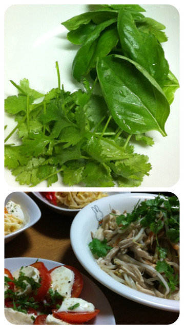 f:id:bobi-wan:20130628225147j:image:w320