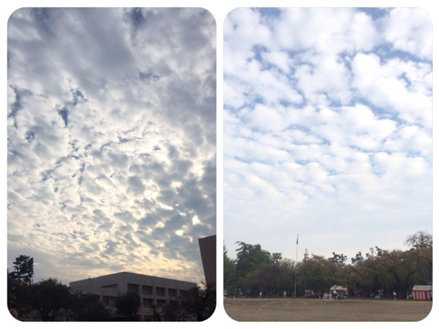 f:id:bobi-wan:20131103223348j:image:w320