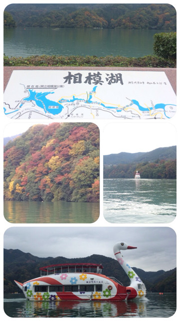 f:id:bobi-wan:20131109200346j:image:w320