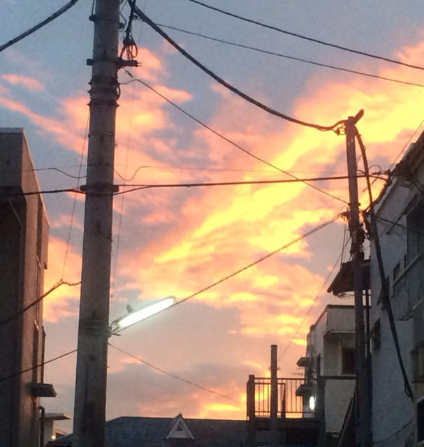 f:id:bobi-wan:20131115194913j:image:w320