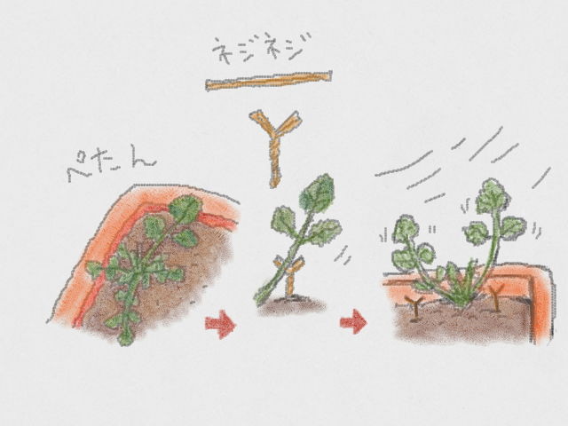 f:id:bobi-wan:20131126002136j:image:w360