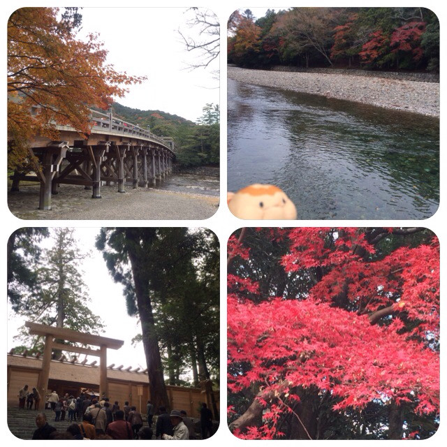 f:id:bobi-wan:20131128164946j:image:h360 f:id:bobi-wan:20131128164946j:image:h360
