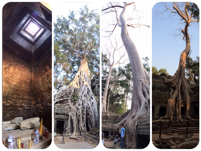 f:id:bobi-wan:20140303034158j:image:w400