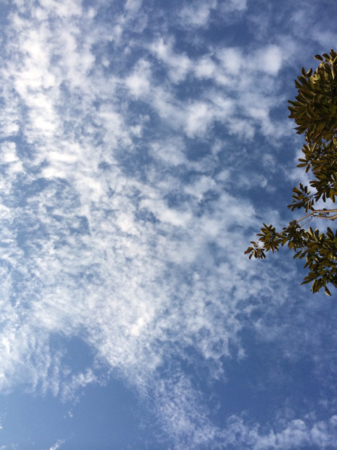 f:id:bobi-wan:20141026012731j:image:w320