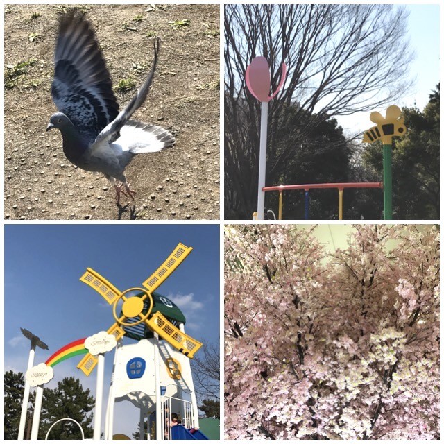 f:id:bobi-wan:20170404023053j:image:w360