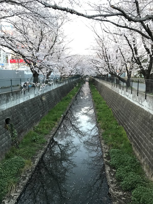 f:id:bobi-wan:20170407233918j:image:w360