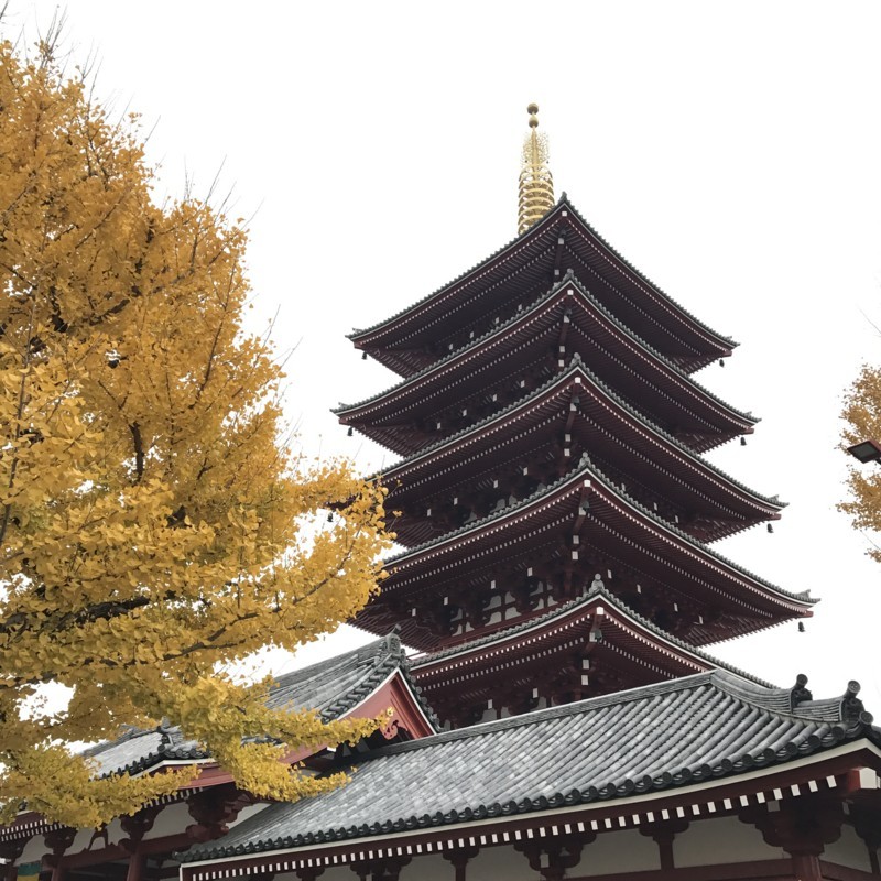 f:id:bobi-wan:20171209005121j:image:w360