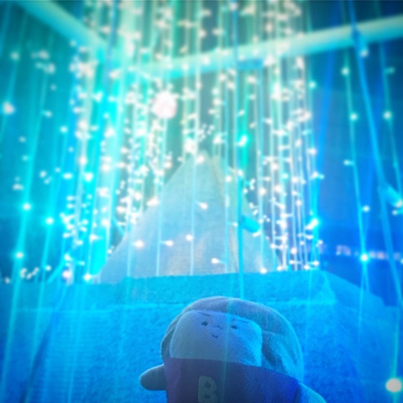 f:id:bobi-wan:20171219010120j:image:w360