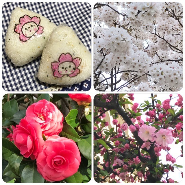 f:id:bobi-wan:20180330004844j:image:w360