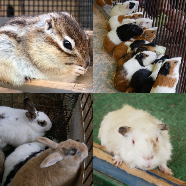 f:id:bobi-wan:20180406030200j:image:w360