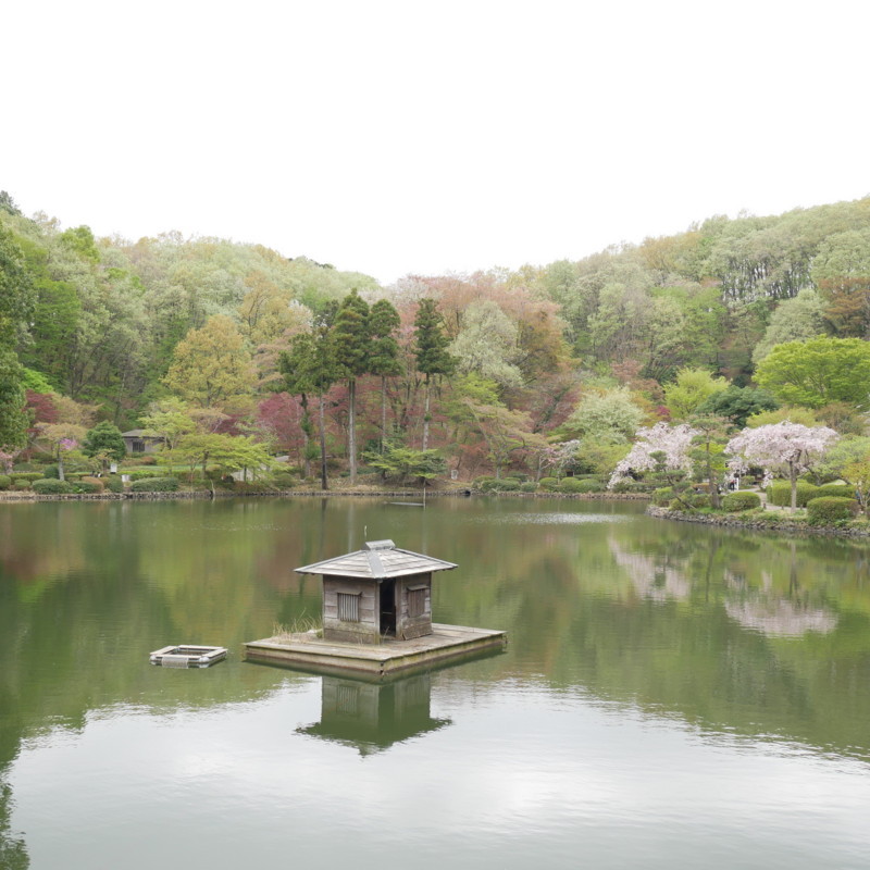 f:id:bobi-wan:20180406034452j:image:w360