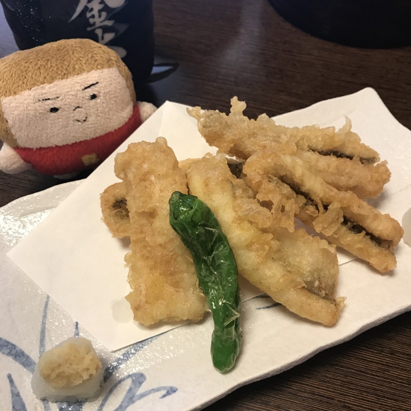 f:id:bobi-wan:20180605003628j:image:w360