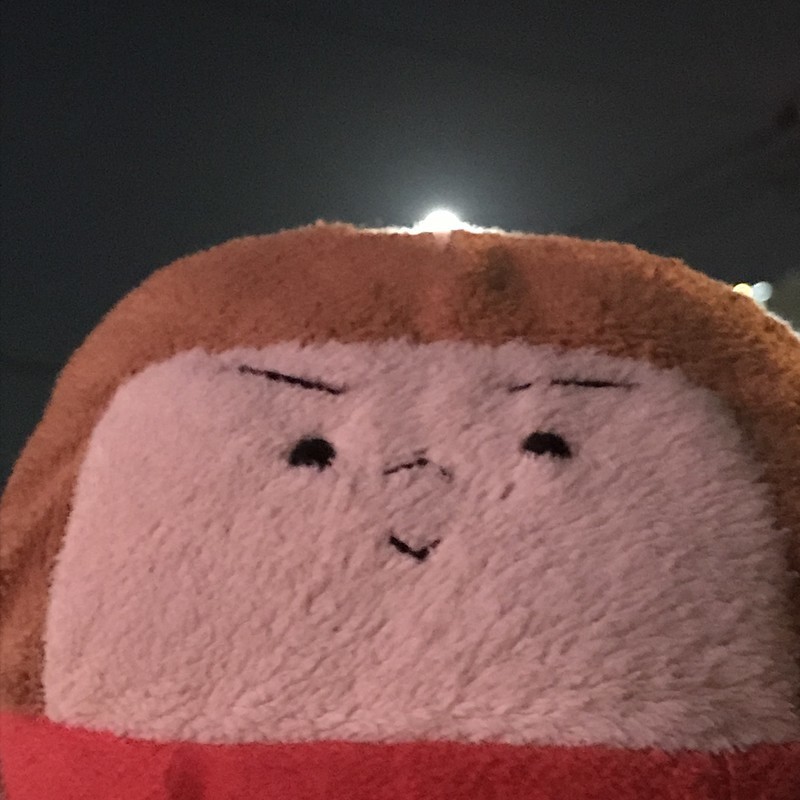 f:id:bobi-wan:20181025234826j:image:w360