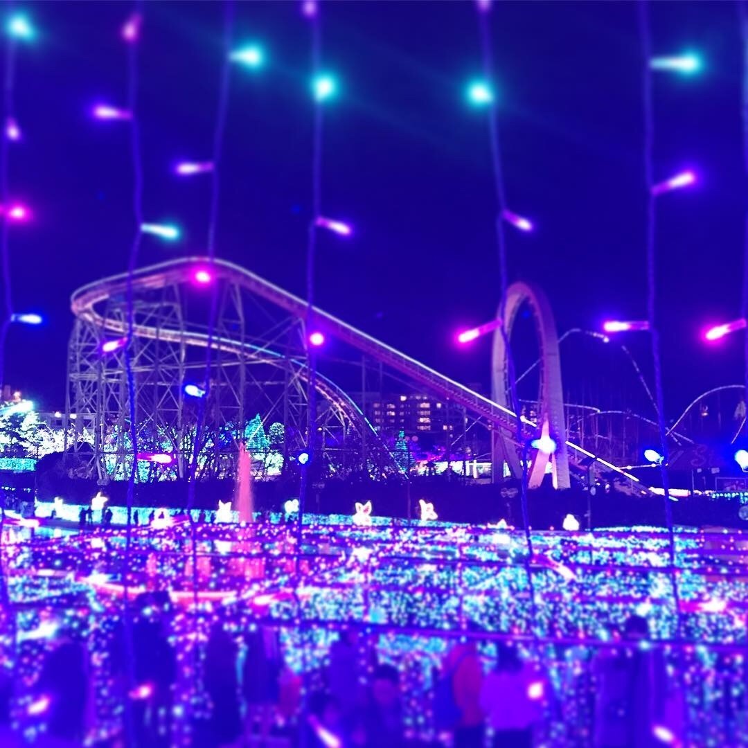 f:id:bobi-wan:20181226045720j:image:w360