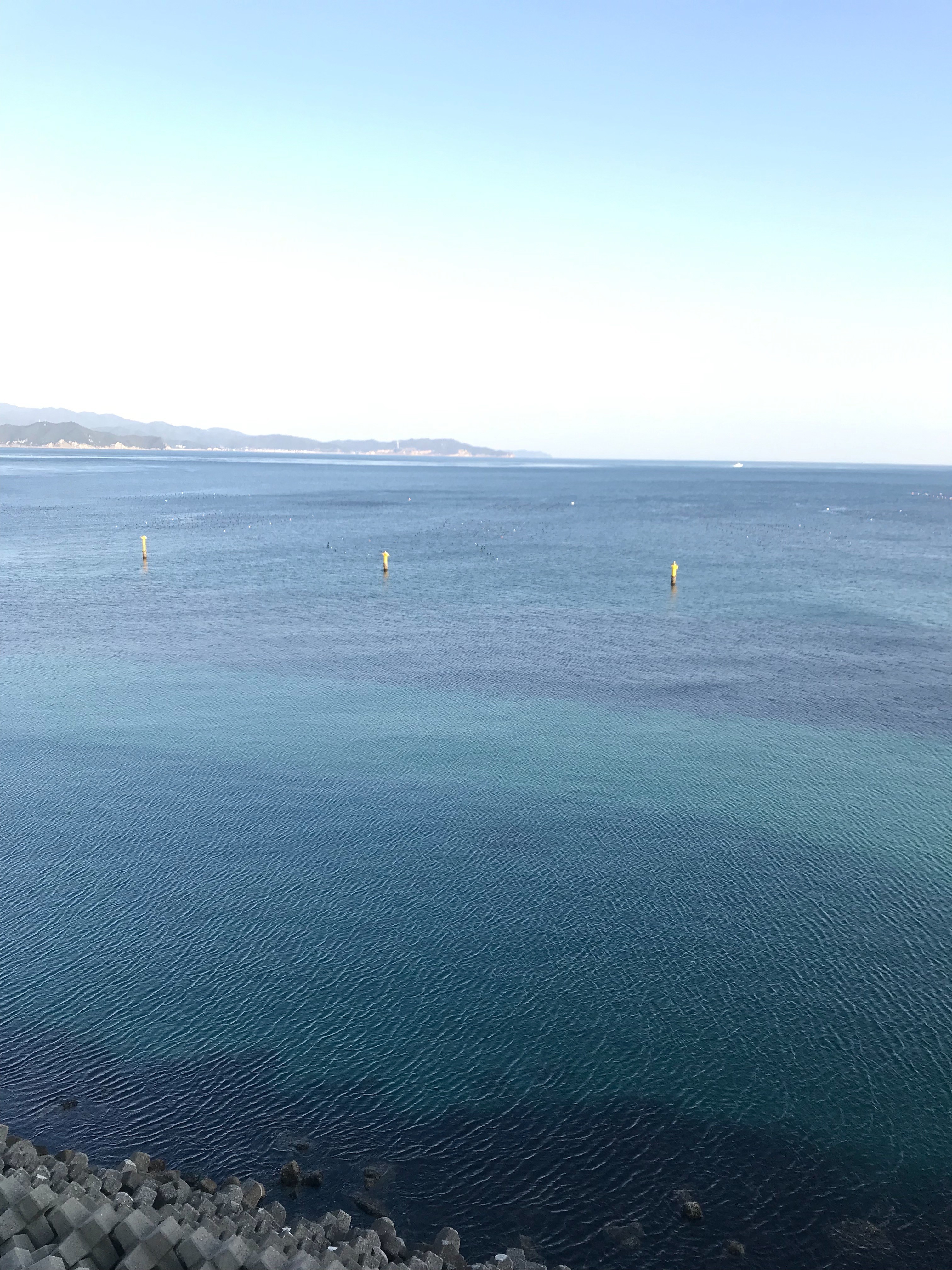 f:id:bobi-wan:20190213013424j:image:w360