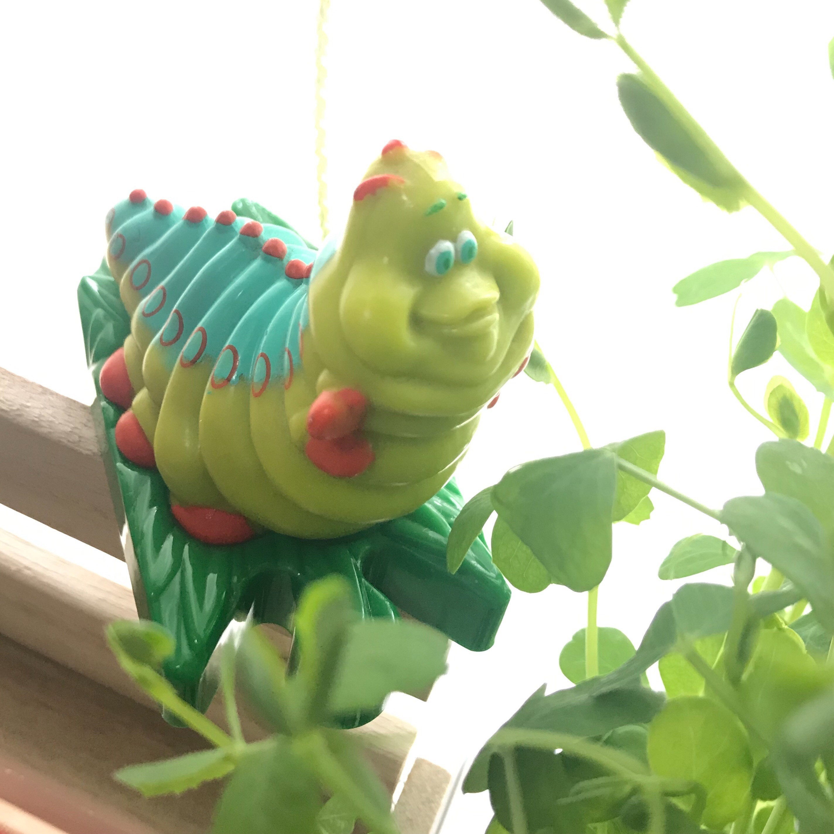 f:id:bobi-wan:20190228010629j:image:w360