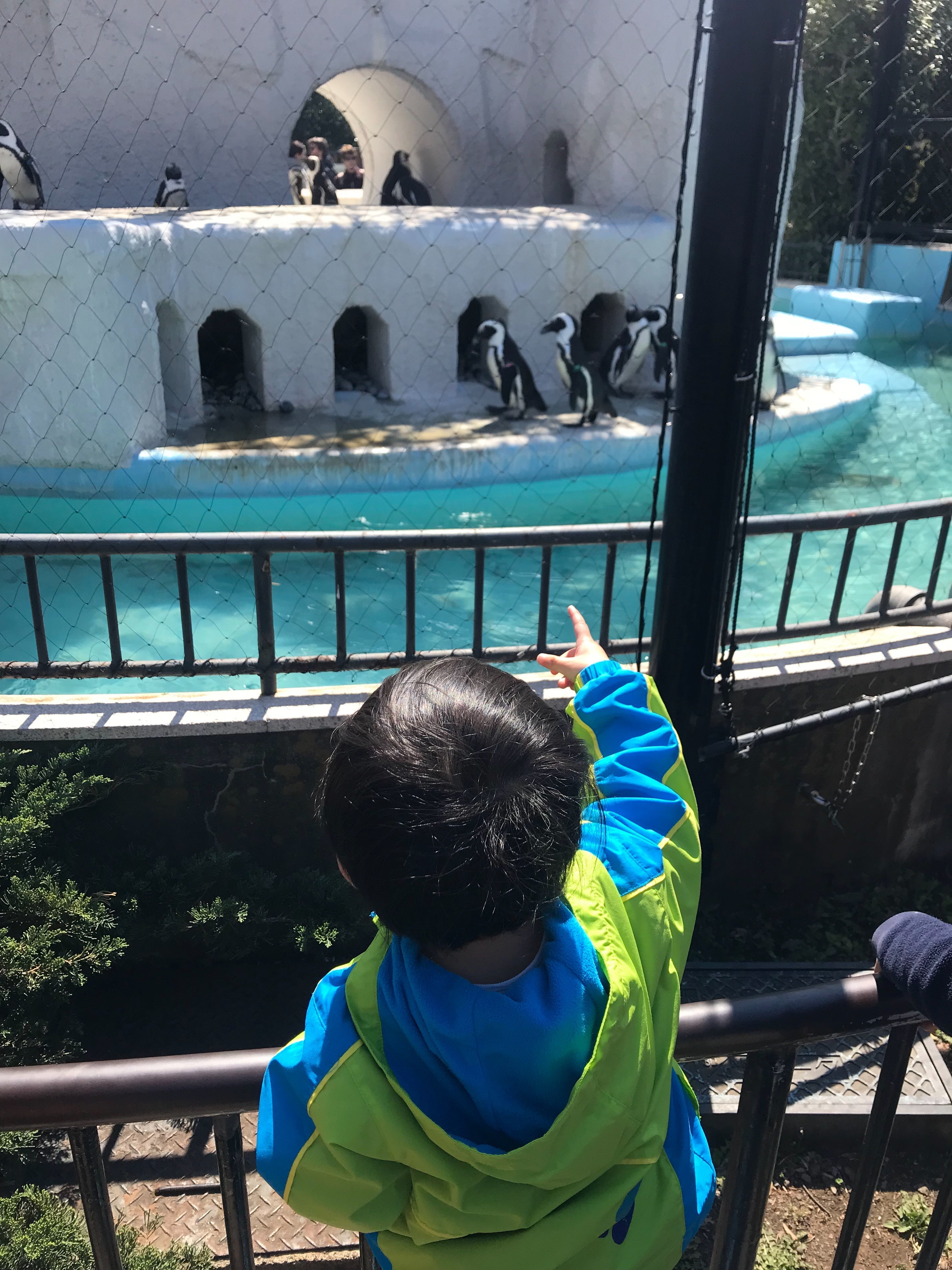 f:id:bobi-wan:20190325081427j:image:w360 f:id:bobi-wan:20190325081427j:image:w360