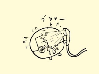 f:id:bobi-wan:20190515001158j:image