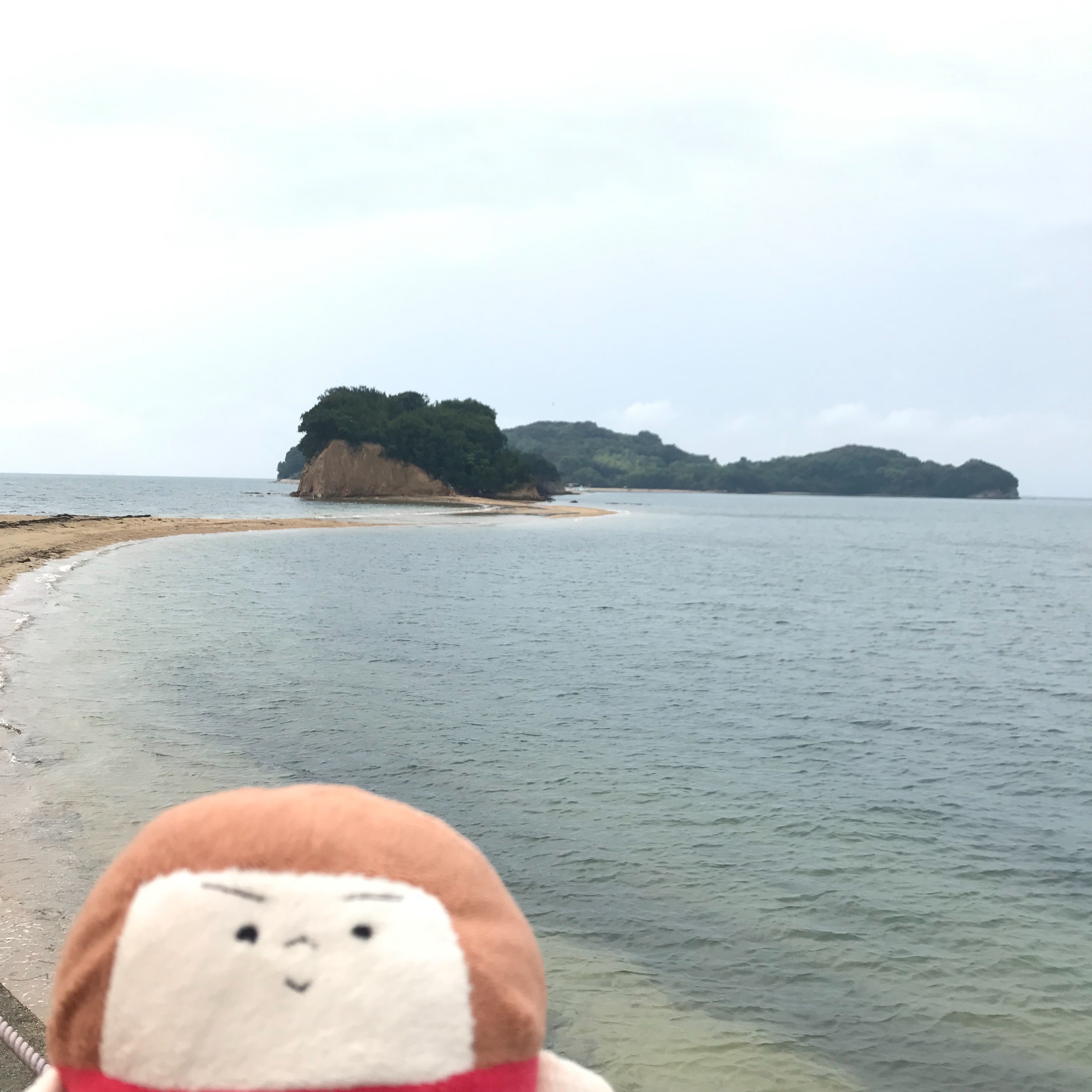 f:id:bobi-wan:20190828081243j:image:w360