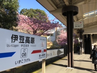 f:id:bobosei:20200222150659j:plain f:id:bobosei:20200222150659j:plain