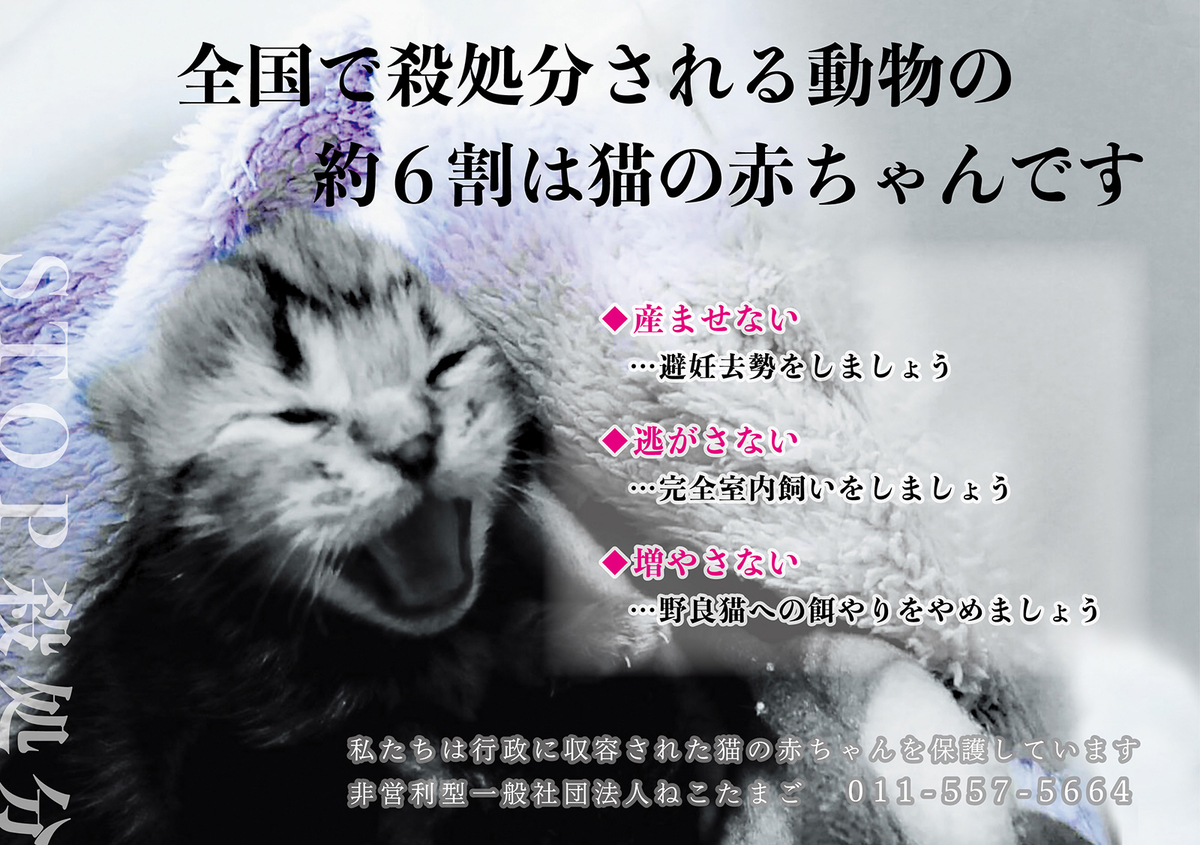 f:id:bobrog:20190319162302j:plain