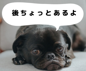 f:id:bobshot:20181006000151j:plain