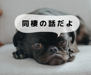 f:id:bobshot:20181006101100j:plain
