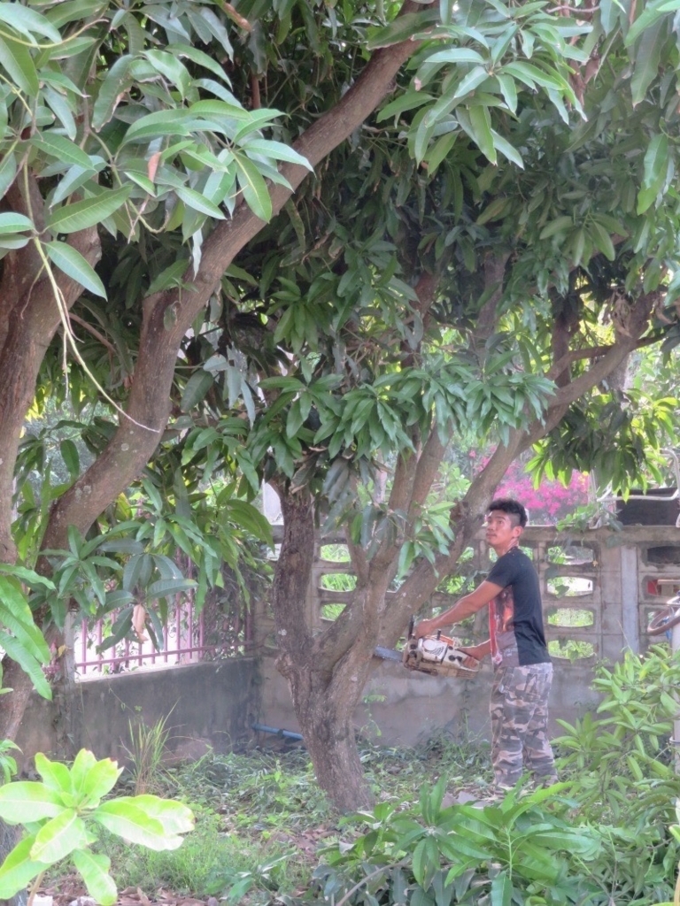 f:id:bobthailand:20180410173312j:plain f:id:bobthailand:20180410173312j:plain