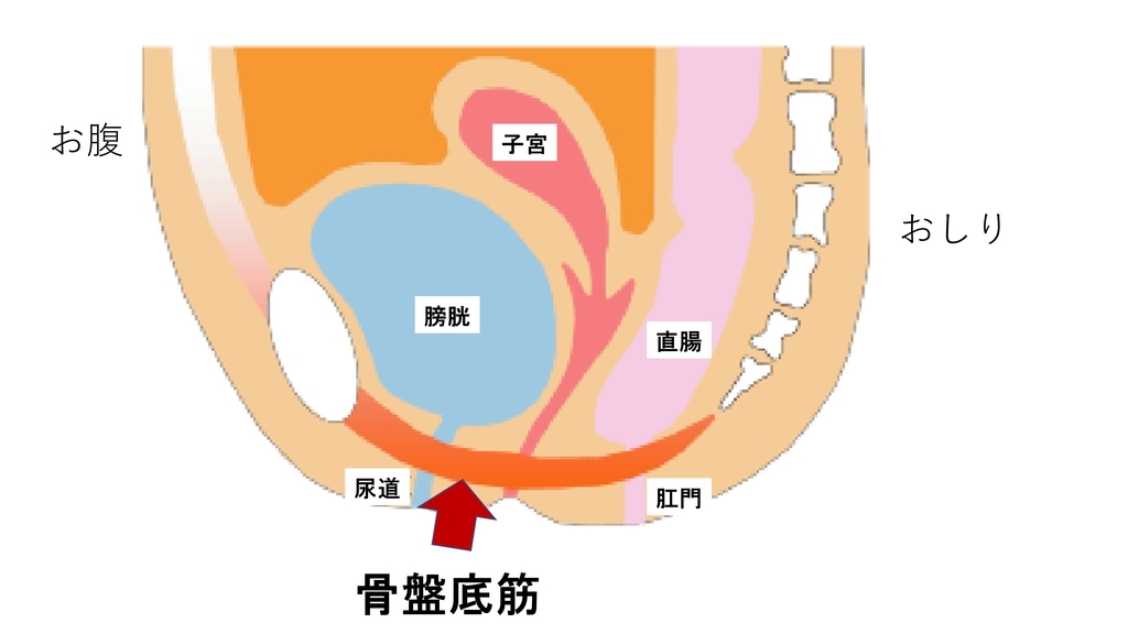 f:id:bobyons:20181107231346j:plain