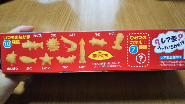 f:id:boc22boc:20190613222728j:image