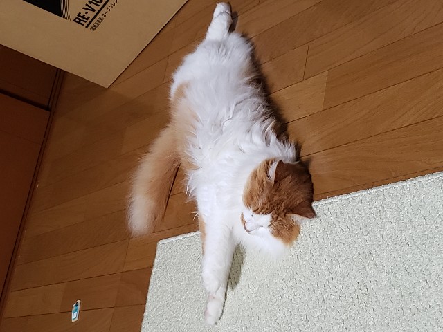 f:id:boc22boc:20190903203612j:image