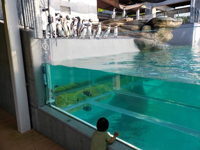 f:id:boc22boc:20191004224213j:image